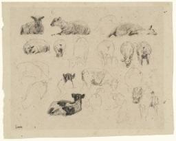Studies
