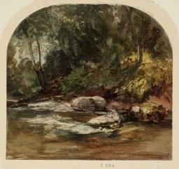 Lynmouth: The River Bank