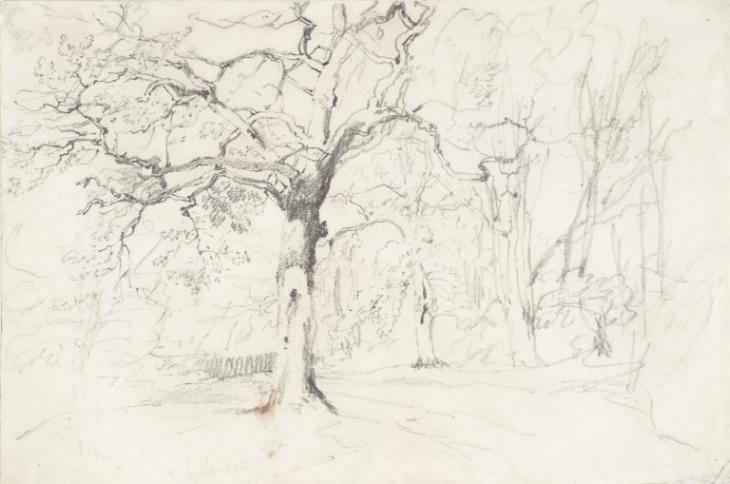 ‘An Oak Wood near Southampton’, Aaron Edwin Penley | Tate