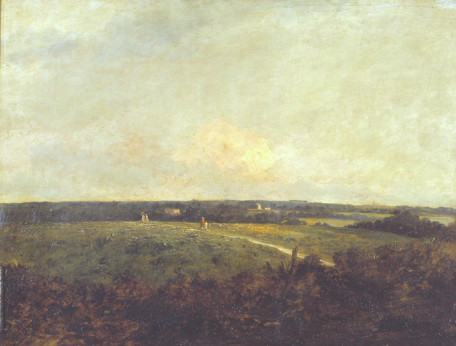 Heath Scene