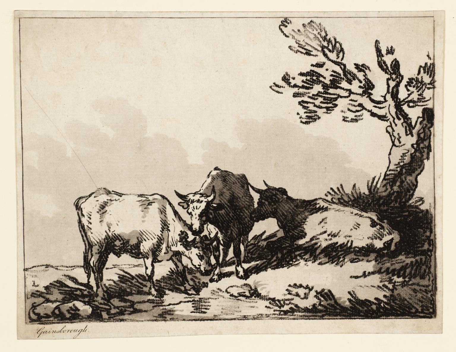Cattle and Tree, engraved by Thomas Rowlandson