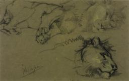 Head of a Lion and Lion Lying Down