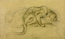 Leopard Bending Down to Drink