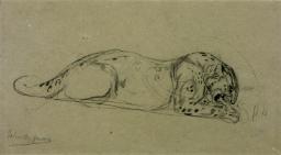 Leopard Gnawing a Bone