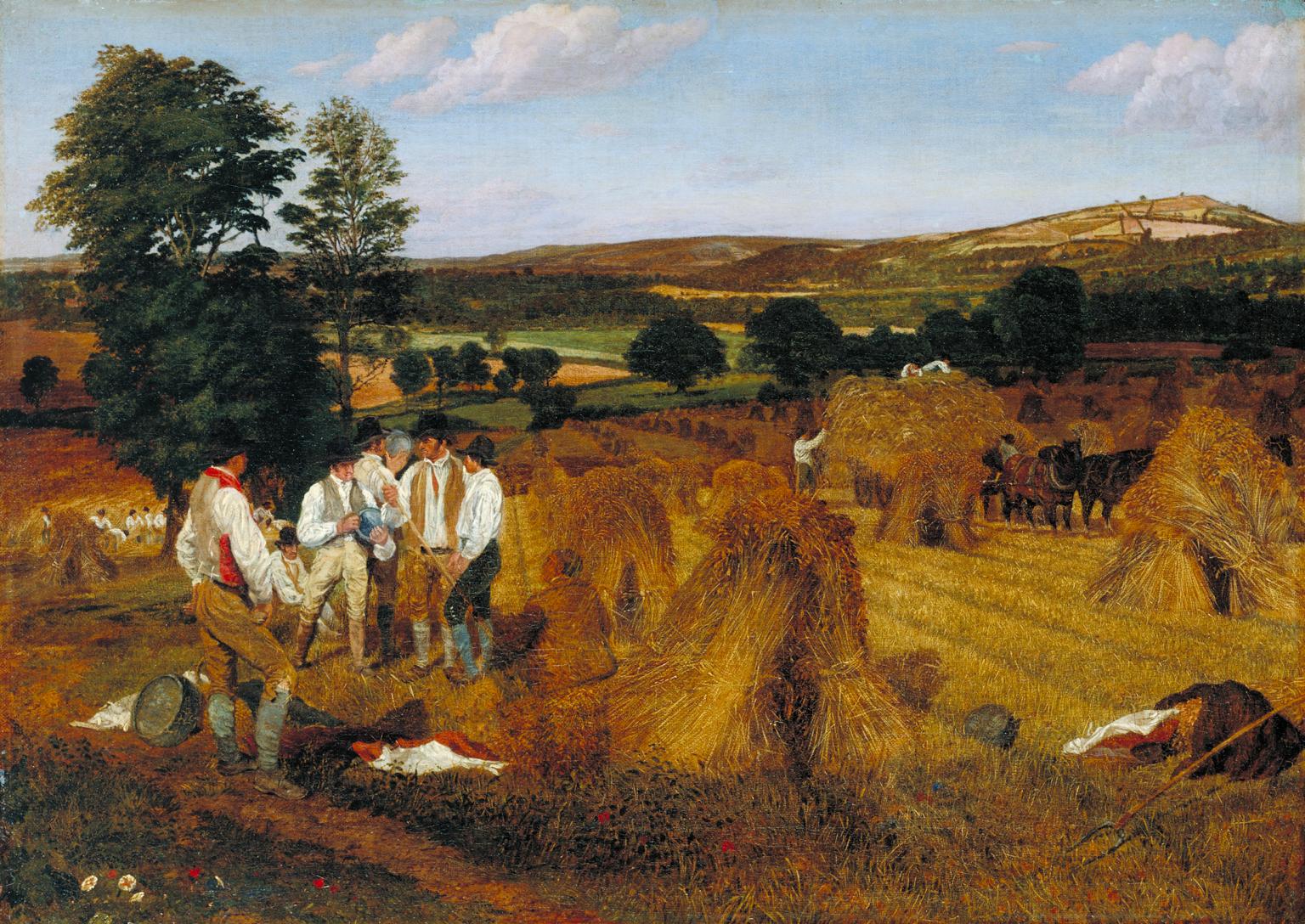 Hereford, Dynedor and the Malvern Hills, from the Haywood Lodge, Harvest Scene, Afternoon