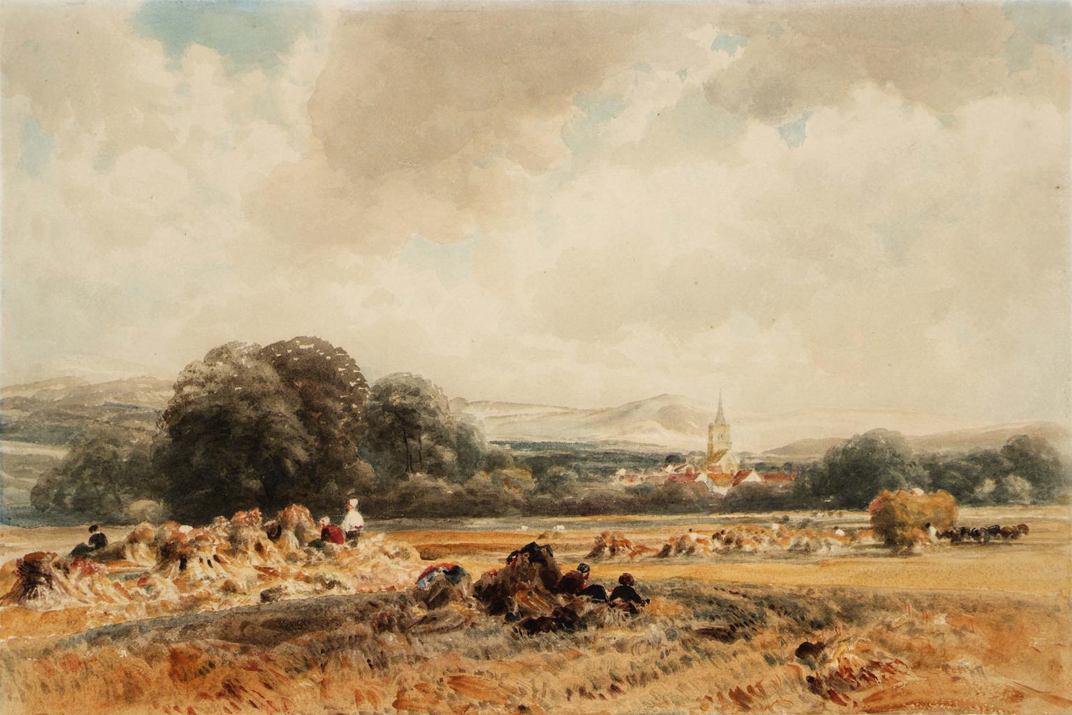 Cornfield, Ivinghoe, Buckinghamshire