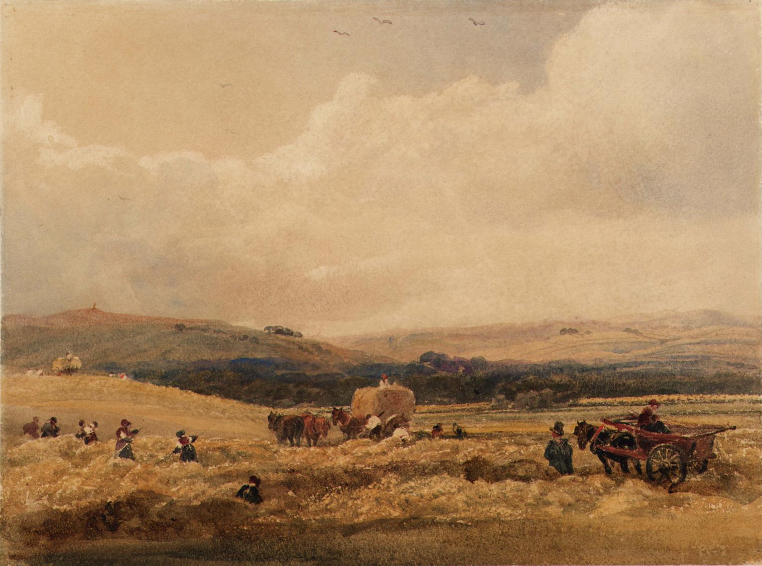 A Hayfield in Yorkshire