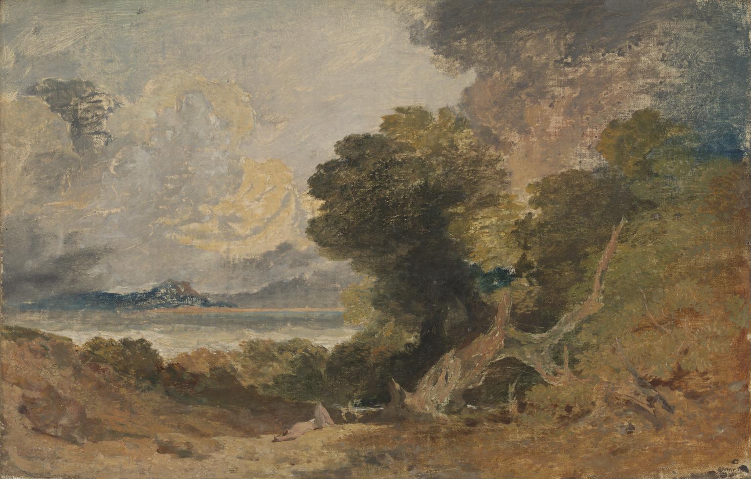 Landscape with Lake and Fallen Tree