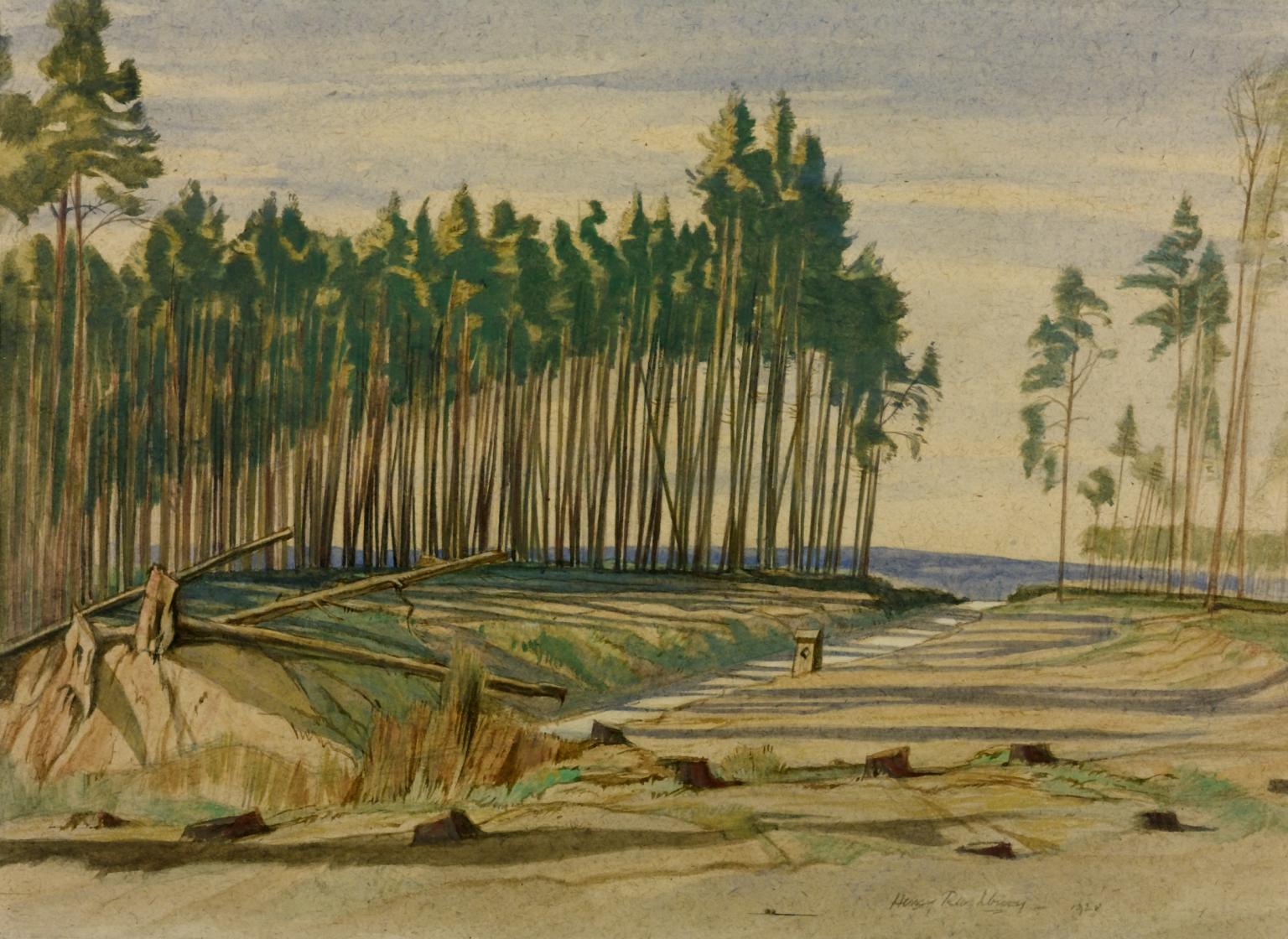 The Forest of Brotonne