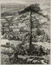 John William North, ‘Vision of a City Tree, engraved by the Dalziel Brothers’ published 1867