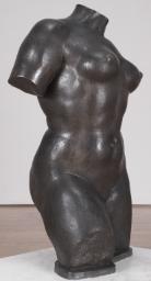 Torso