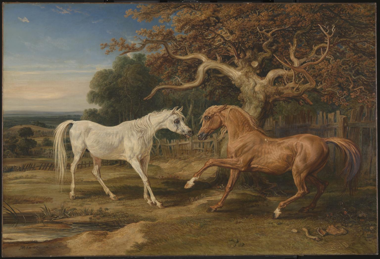 L’Amour de Cheval