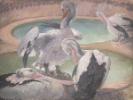 Philip Connard, ‘Pelican Ponds’ exhibited 1930