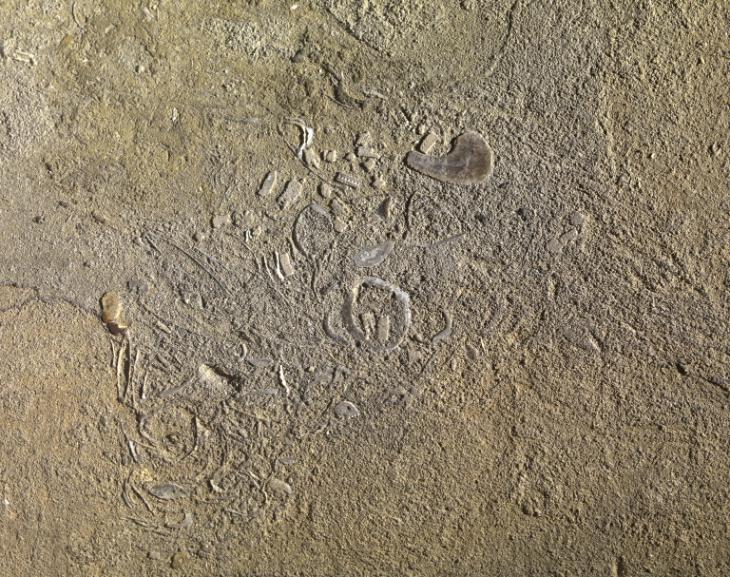 Henry Moore OM, CH, ‘Recumbent Figure’ 1938 Henry Moore OM, CH, ‘Recumbent Figure’ 1938