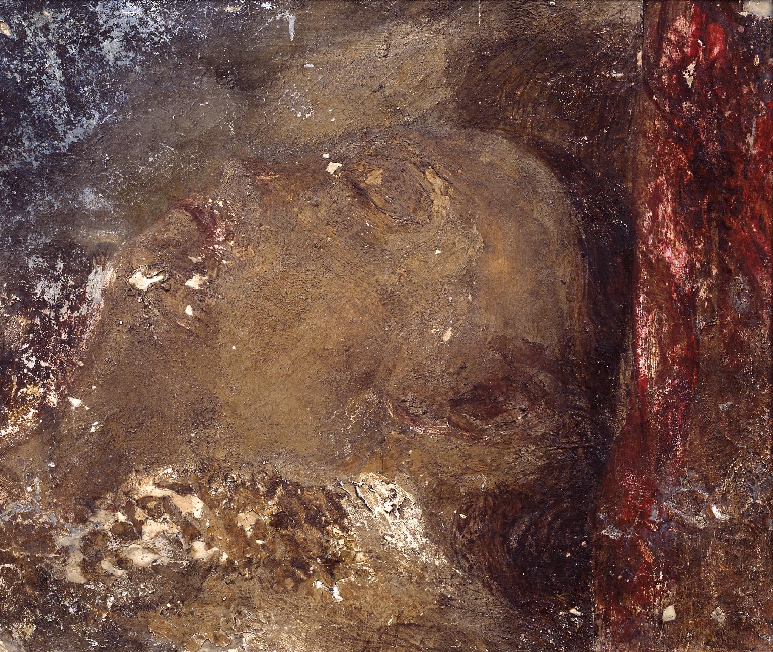 Head of a Person Asleep
