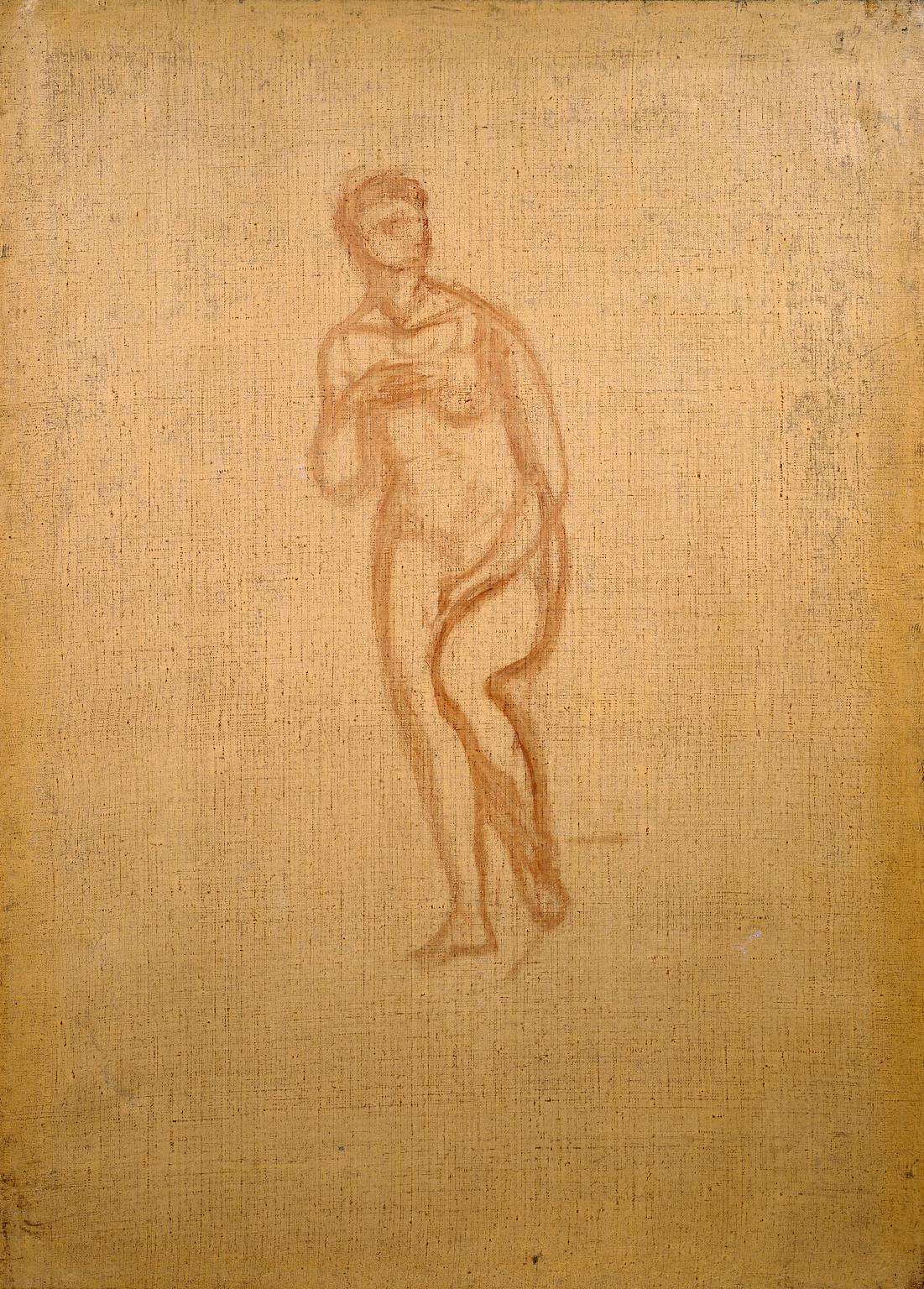 Outline of a Venus Pudica