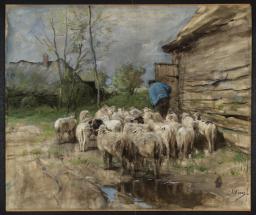 Shepherd