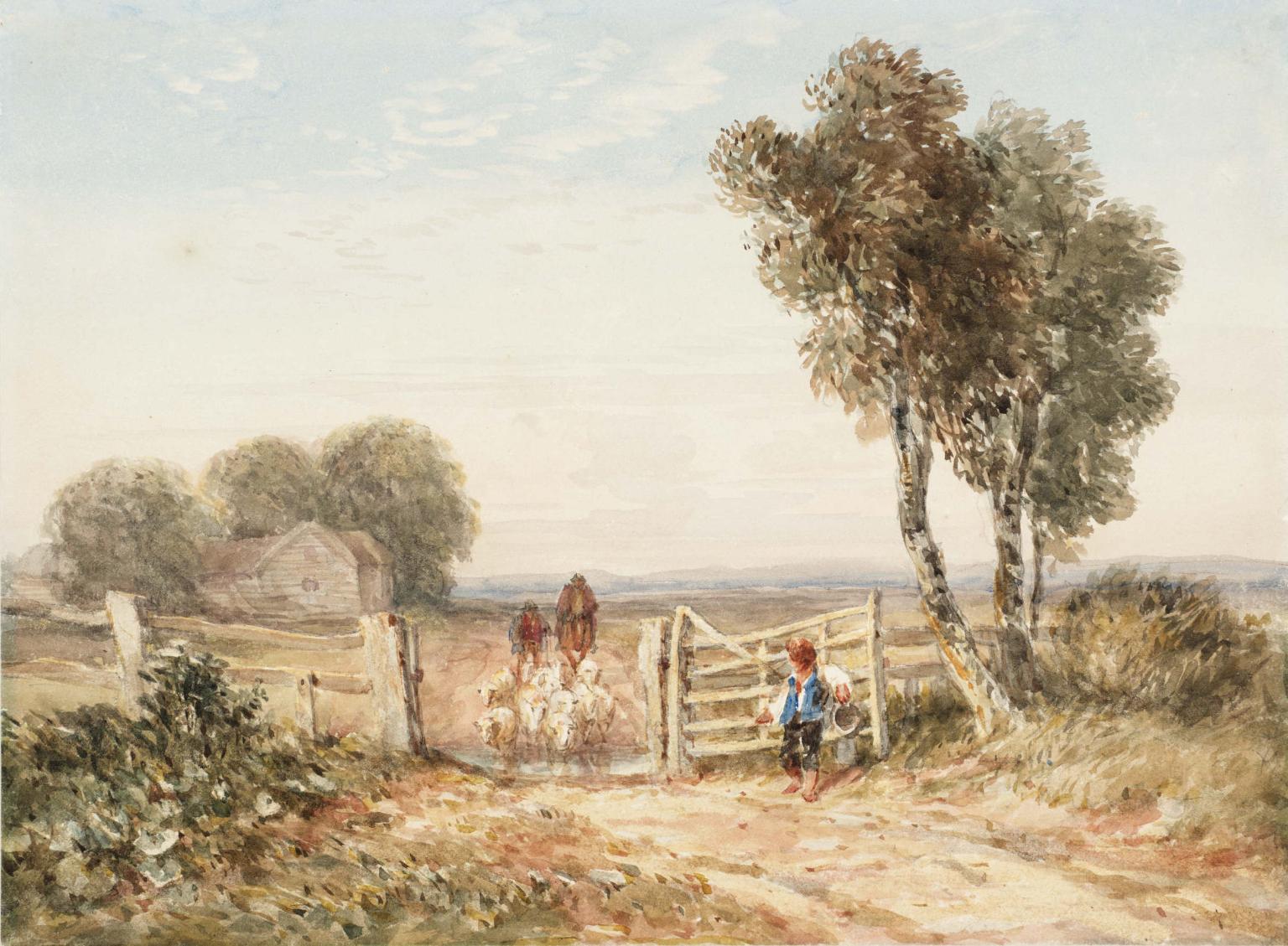Boy Opening Gate for Sheep