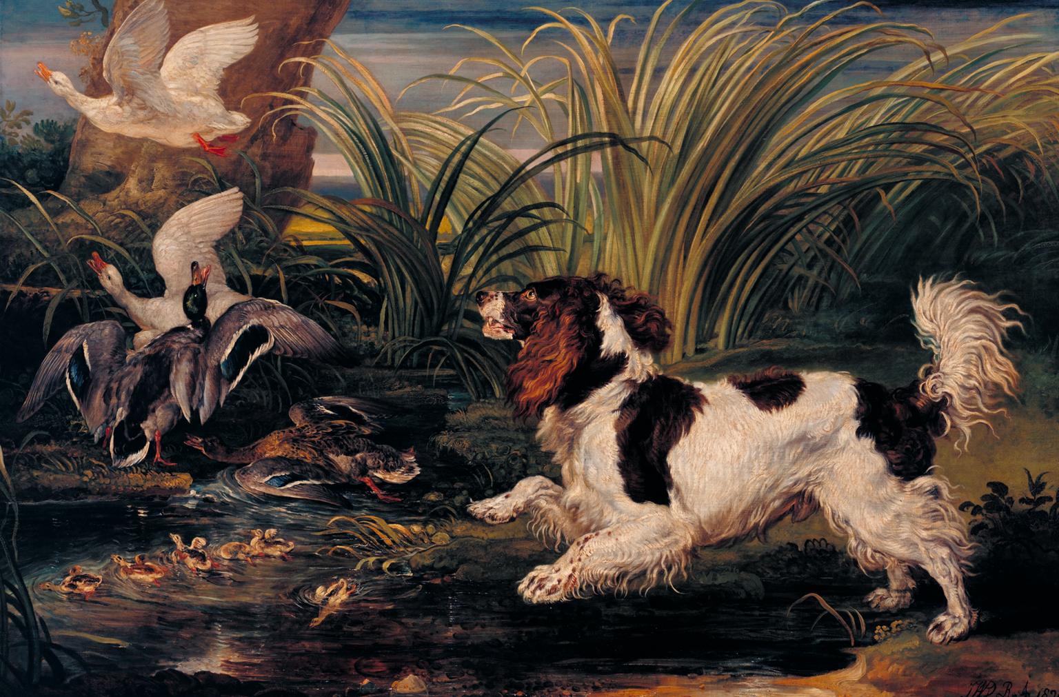 A Spaniel Frightening Ducks