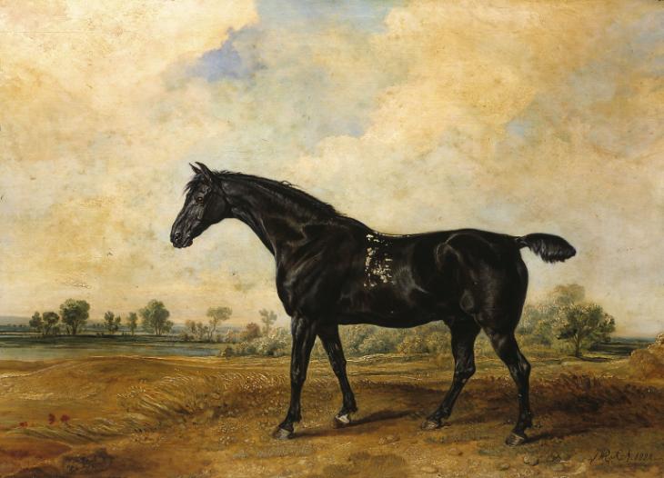 ‘the Black Horse’, James Ward, 1824 