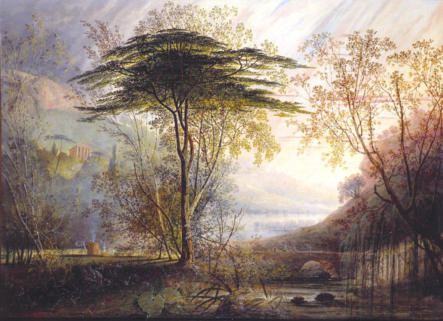 Flora colman