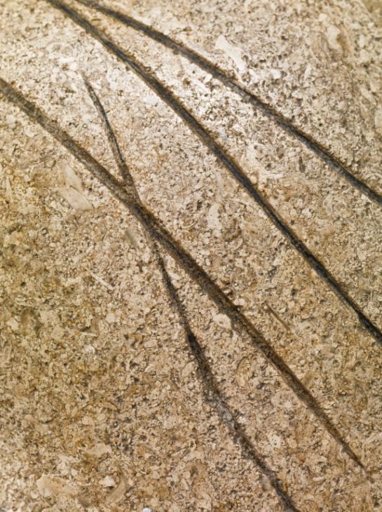 Henry Moore OM, CH, ‘Girl’ 1931 Henry Moore OM, CH, ‘Girl’ 1931