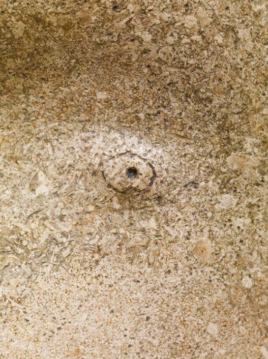 Henry Moore OM, CH, ‘Girl’ 1931 Henry Moore OM, CH, ‘Girl’ 1931