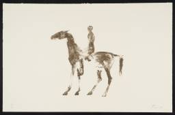 Small Horse and Rider