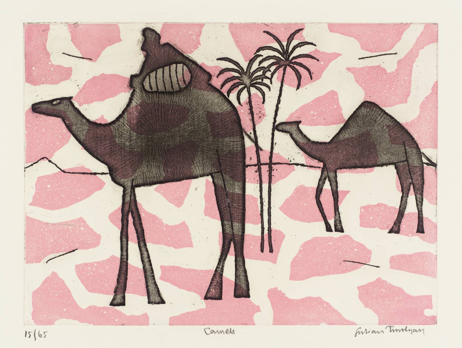 Camels