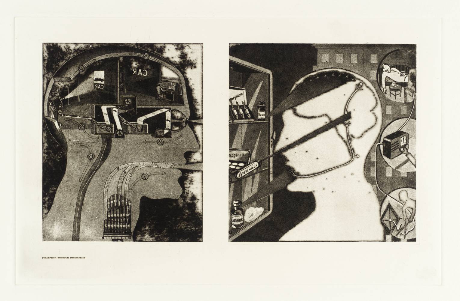 Secrets of Life - The Human Machine and How it Works: Perception through Impression