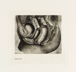 Secrets of Life - The Human Machine and How it Works: Hazardous Journey