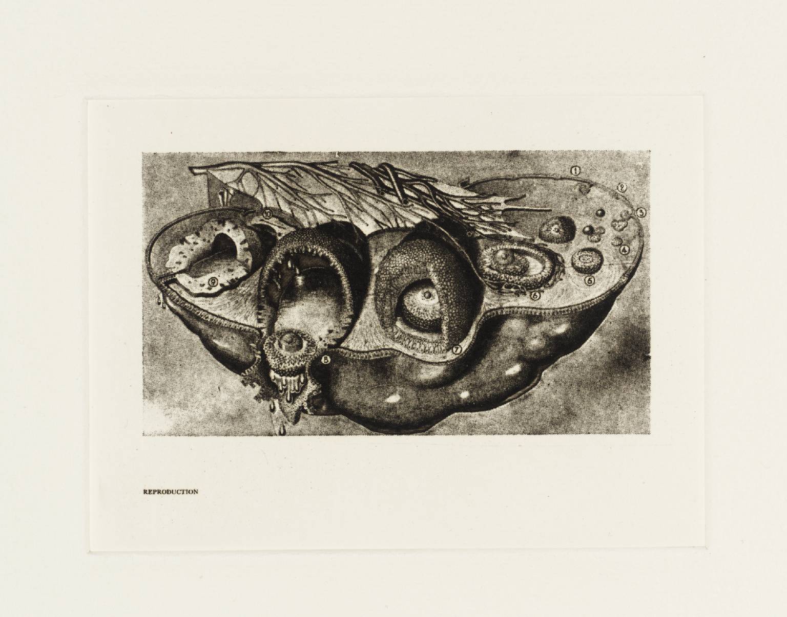 Secrets of Life - The Human Machine and How it Works: Reproduction