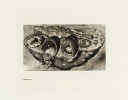 Secrets of Life - The Human Machine and How it Works: Reproduction