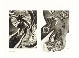 Secrets of Life - The Human Machine and How it Works: The Moment of Conception