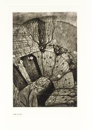 Secrets of Life - The Human Machine and How it Works: Inside the Brain