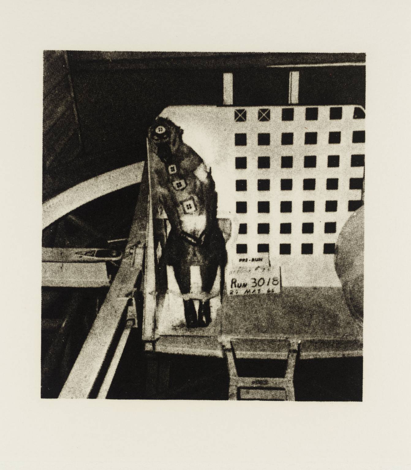 Pages from the Aerospace Medical Library: Untitled (Baboon on Sled)