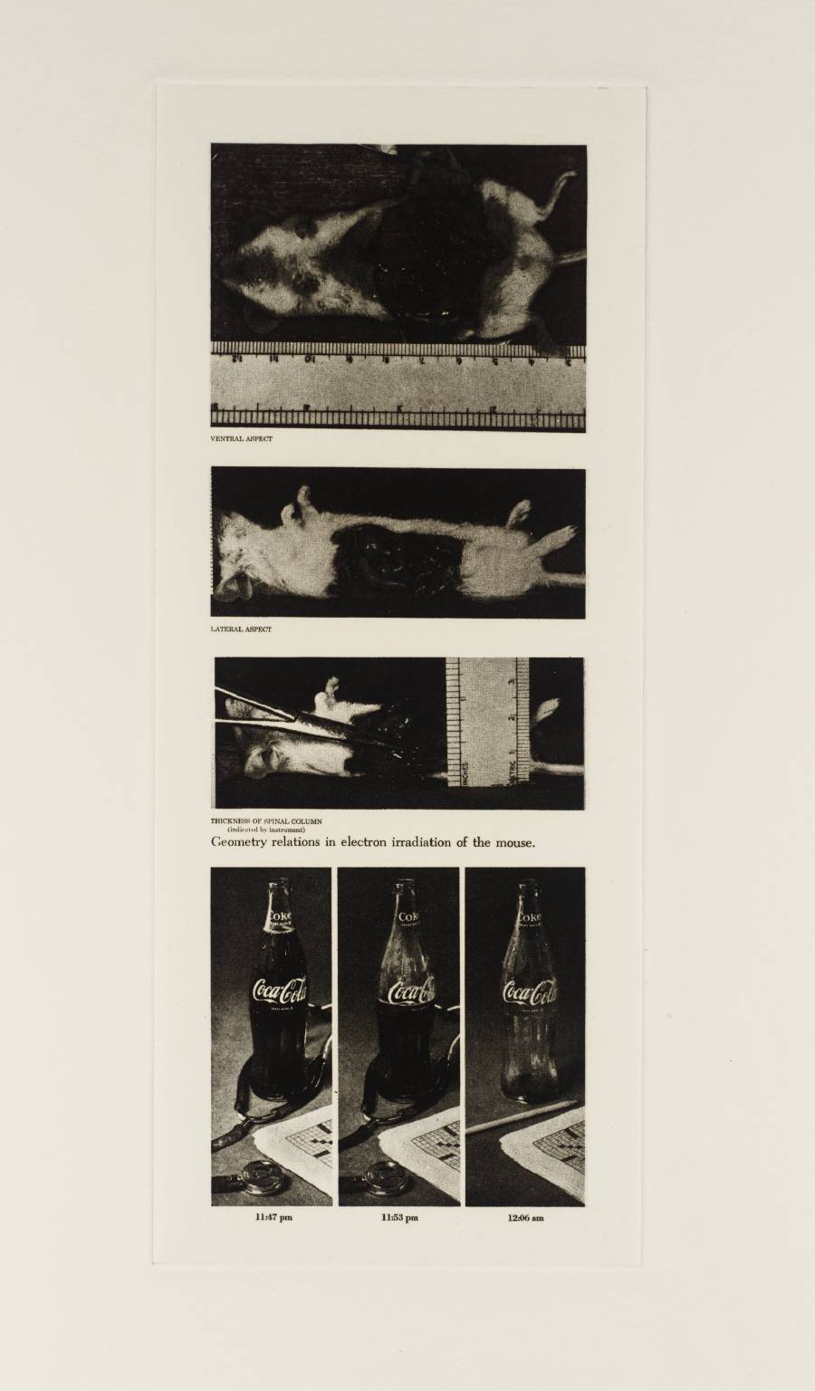 Pages from the Aerospace Medical Library: Geometry Relations in Electron Irradiation of a Mouse, 11.47pm, 11.53pm, 12.06am