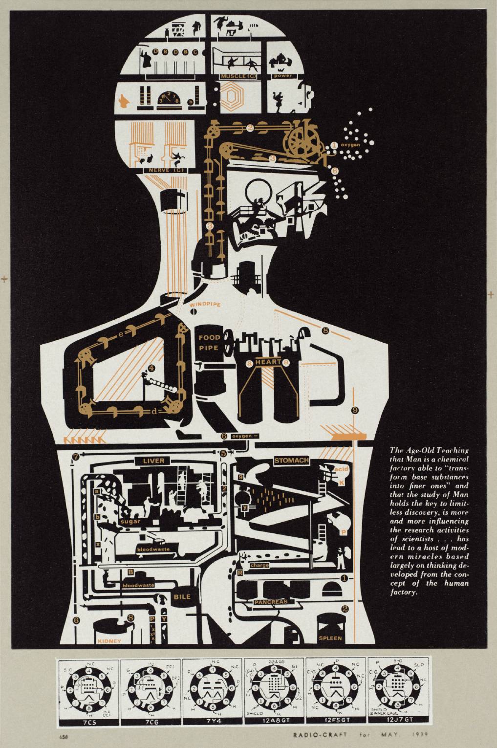 28. Man Holds the Key