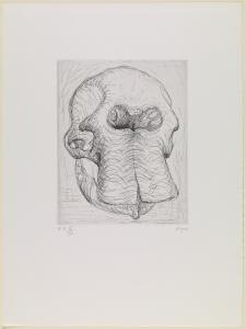 Elephant Skull Plate I