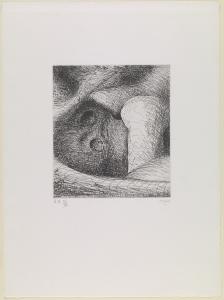 Elephant Skull Plate II