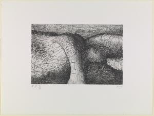 Elephant Skull Plate VI