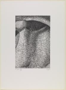 Elephant Skull Plate XVIII