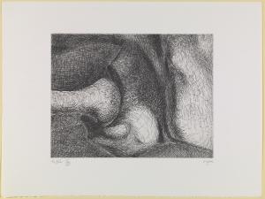 Elephant Skull Plate XIX