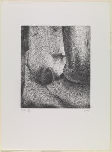 Elephant Skull Plate XX