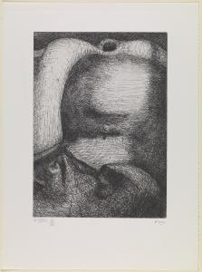 Elephant Skull Plate XXVII