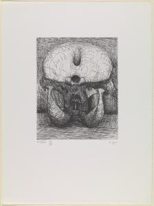 Elephant Skull Plate XXVIII
