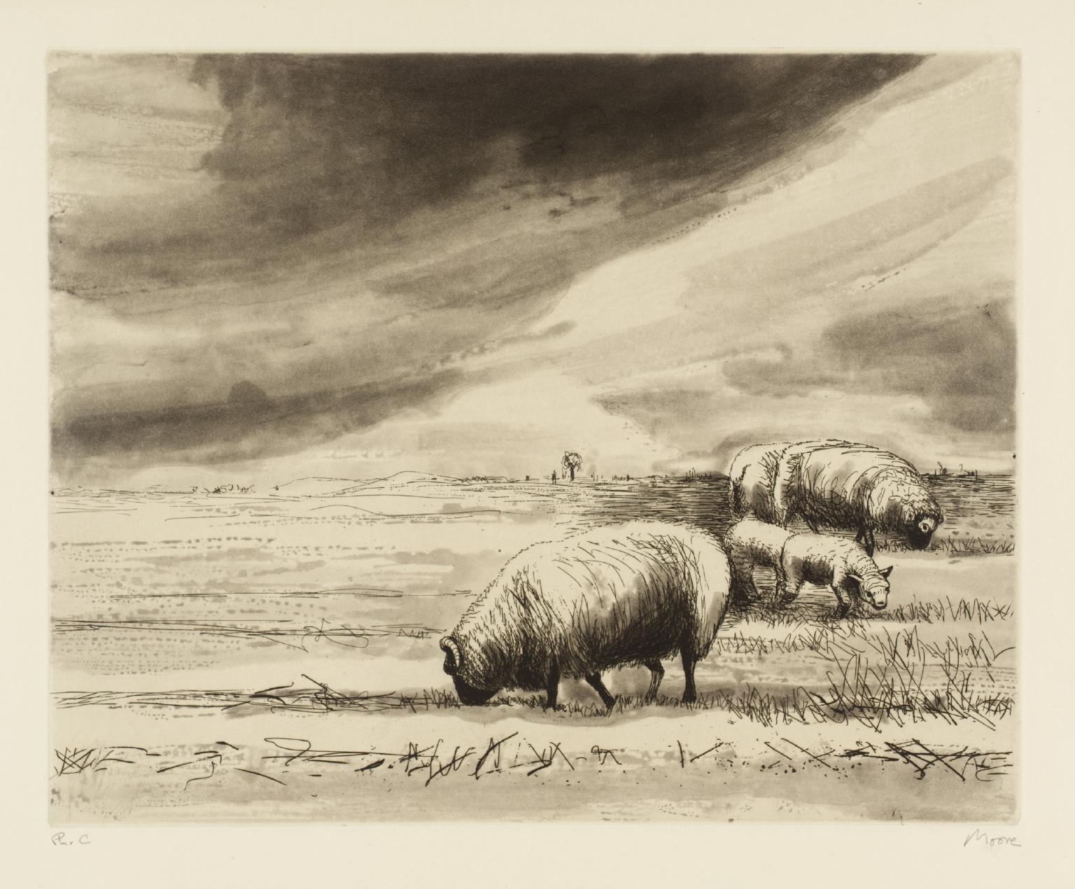 Sheep in Landscape