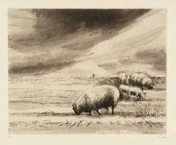 Sheep in Landscape