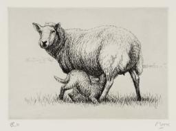 Sheep with Lamb I
