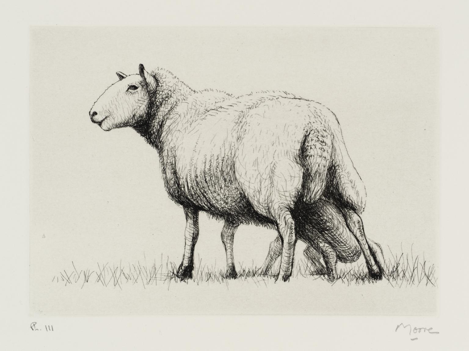 Sheep with Lamb II